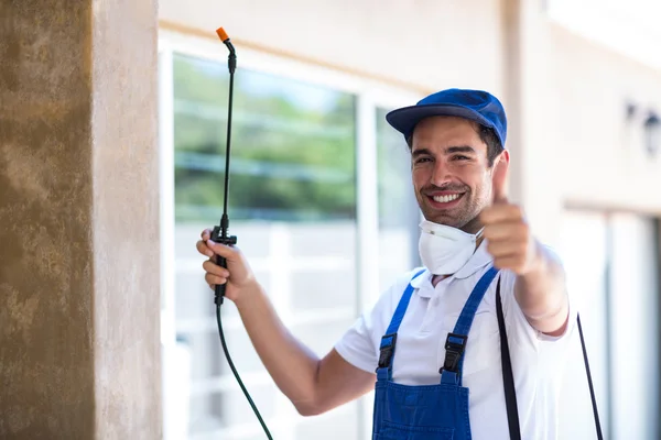 Colleyville Wasp Removal
