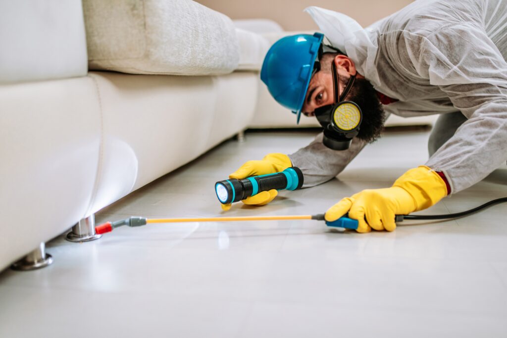 Colleyville Termite Control