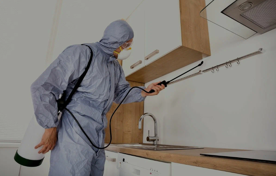 Colleyville pest managment